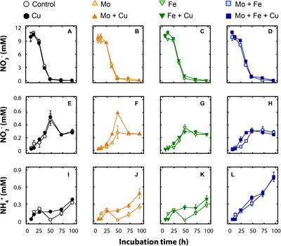 Trace Metal Availability Affects Greenhouse Gas Emissions and Microbial Functional Group Abundance in Freshwater Wetland Sediments